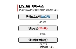 '중복상장 금지 첫 적용' 명신산업 자회사 나스닥 상장 접었다