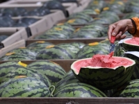 생과일 아니고 착즙원액?…커피전문점 수박주스 대해부[맛잘알X파일]