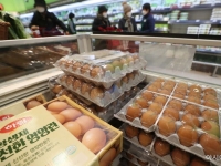 '난각번호 1번' 계란…4번과 영양분 차이 없다고?[맛잘알X파일]
