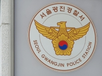 인도 오르더니 계속 돌진…30대 女 운전자, 약물 운전 혐의 입건