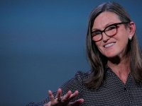 비트코인 낙관론자 '돈나무 언니' 돌연…