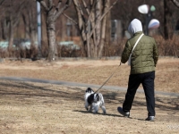'완전 무료' 라더니 