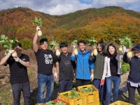 청년 농촌 정착 핵심은 '일자리'…"단순체험·이주지원으론 안 돼"
