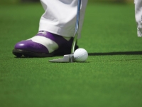 15m 거리 일행 샷에 20대 실명사고…캐디 '벌금형'