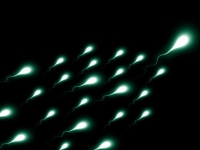 "성욕은 그대로"…정자만 멈추는 '남성 피임' 가능성 확인 