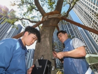 月수입 500만원, 정년 없는 전문직…퇴직 후 '꿈의 직업'