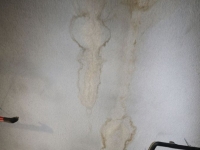 하자 많은 아파트 건설사, 순영·신동아·빌텍·라인