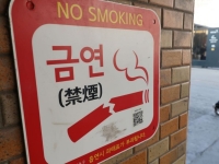 "미디어 속 흡연 장면 자주 본 청소년, 담배에 관대"