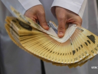 10월 시중 풀린 돈, '4057조'…통계 개편했더니 410조 줄어든 이유는[BOK포커스]