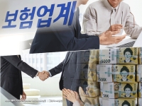 'N잡러 설계사' 확대…보험사 영업외형 늘지만 판매효율 떨어져