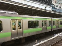 퇴근길 일본인들, 지하철에 숨어있던 뱀에 기겁