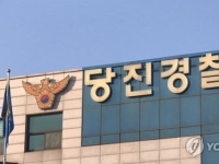 설날 땔감 구하려…벌목 중 나무에 부딪힌 80대 사망
