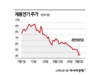 '상반기 주도주' 제룡전기, 2개월 만에 반토막