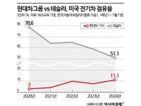 'IRA 기울어진 운동장' 거스르는 현대차 EV 3총사, 테슬라 맹추격[현대웨이의 비결⑤]