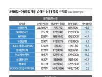 '블랙 먼데이' 이후 한달…저가 '줍줍'한 개인만 울상