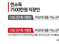 [실전재테크]DSR·은행發 대출규제 실수요자 혼란…'예외' 허용한다