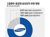 금융위·금감원 가족 최애 주식은 삼성전자…수익률은 '글쎄'