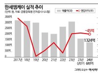 텅 빈 통장…한세 오너 막내딸의 '부채경영' [Why&Next]