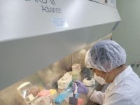 연구 실패는 책임 안 묻고 부정은 20년 퇴출…국가R&D '당근·채찍' 세진다