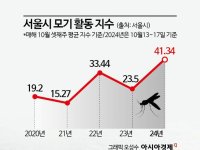 10월 중순인데도 '윙윙'…모기활동지수 5년 새 두 배…↑