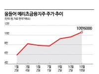 메리츠금융지주, 시총 20조 돌파…삼성생명 제치고 금융 시총 톱3