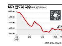 반도체株, AI는 계속간다…