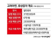 [증권신고서 읽는 기자]2조5천억 유증으로 공개매수 빚 갚고 지분도 확보하는 고려아연