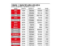 금투세 폐지에도 웃지 못한 개인