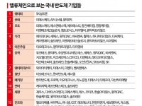 반도체 쪼개면 30개 이상이니…韓, 먼저 치고 들어가야 이기는 특허 지뢰밭[‘특허판결 비상’ K-반도체]③