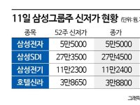 삼성그룹株 수난시대, 줄줄이 신저가에 하루 새 시총 12조 증발