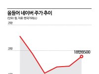 급락장서 웃은 네이버, 주가 회복 시동