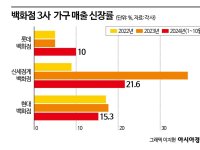 코로나도 이긴 1200만원 '수지 거울', 4000만원 'BTS 쇼파'의 위기[럭셔리월드]