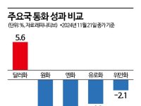 원화 약세 부추기는 달러 블랙홀 국민연금...환헤지는 제로 