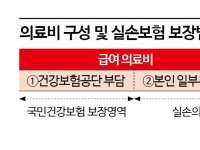 대수술 나선 정부…이달 공청회 거쳐 개혁안 발표[실손보험금이 샌다]⑤