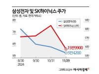 美 외풍에 힘 못 쓰는 K-반도체…