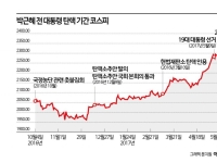 7년 전엔 어땠나…탄핵 우려에 '테마주 널뛰기' 학습효과