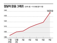 [실전재테크]'환율 푸어' 탈출법…달러통장 만들고 RP에 투자