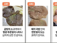 뜨끈한 곰탕 먹으려다 '깜짝'…초록빛 고기 먹어도 되나