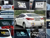 이력서 채워줄 '국가자격증' 이었는데…1020 