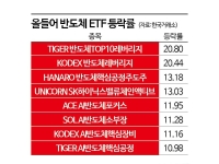 올해에만 20.8% '껑충'…잘나가던 이 종목, 삼성전자만 바라보는 까닭