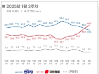 구속된 尹대통령 소속정당이 '지지율 1위'…여론조사 어떻게 된건가[정국돋보기]