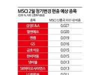 2월 MSCI 정기변경, 편출 종목 '우수수'