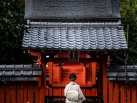 일본 관광 직격탄 맞자…