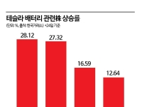 테슬라 못가도 주목받는 밸류체인株