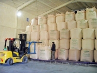 쌀 한 가마니 23만원 넘자 '화들짝'…정부미 방출에, 전농 