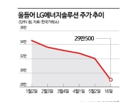 이차전지株, 줄줄이 신저가…멀기만 한 주가 회복