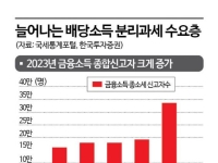 도마 오른 배당소득 분리과세…수혜주 찾아라