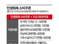 전국민에 15만~50만원 소비쿠폰…소득따라 차등 지급[새정부 추경]