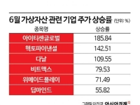 주식시장에 불어오는 가상자산 바람
