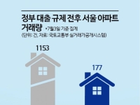 6·27 대책 약발 먹히나?…서울 아파트, 거래 감소·가격 흔들 '징후'